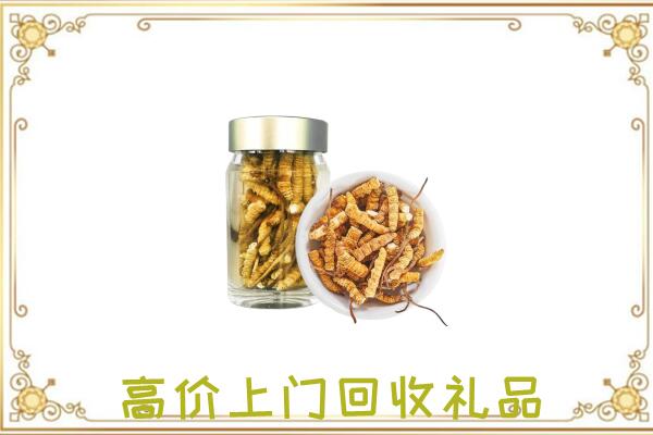 龙湾区周边回收虫草